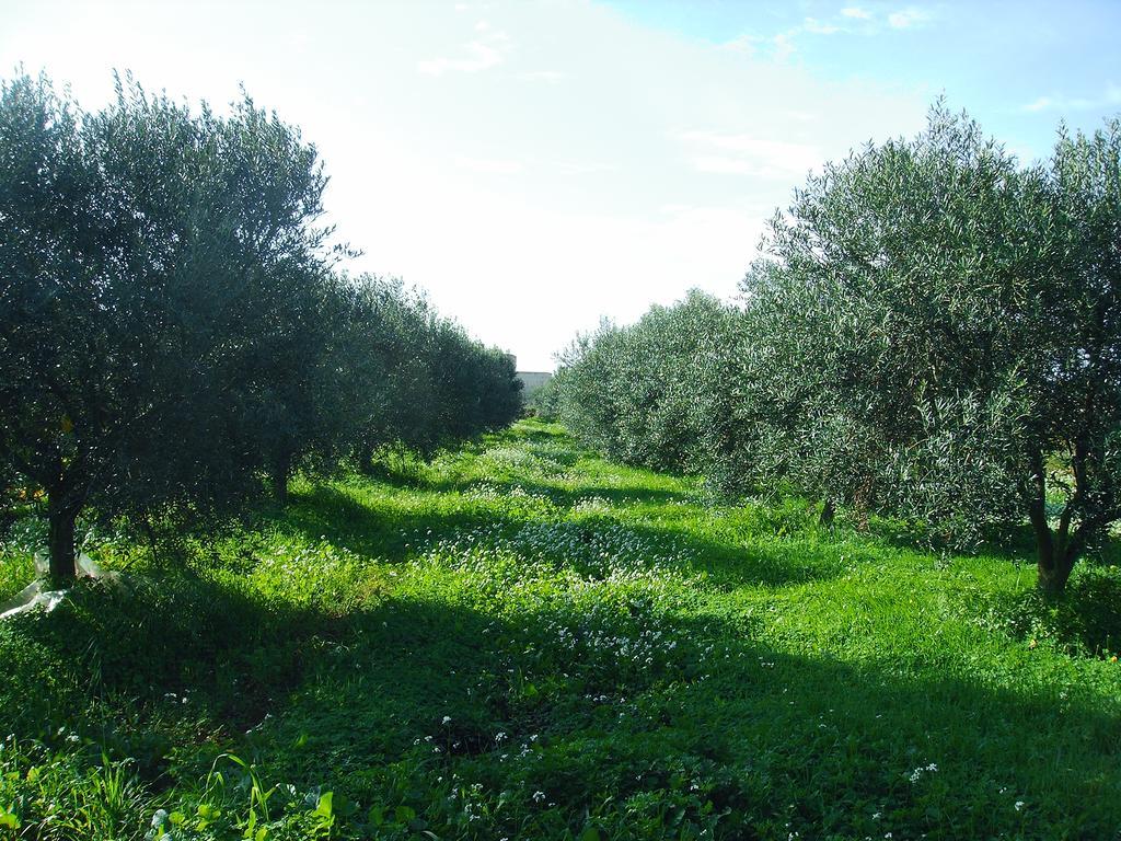 Casale Stagnone Guest House Marsala Exterior photo